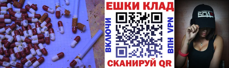 ЭКСТАЗИ Philipp Plein  купить наркотики сайты  Сасово 